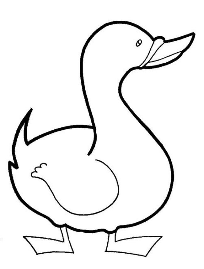 duck hunting farm animal template