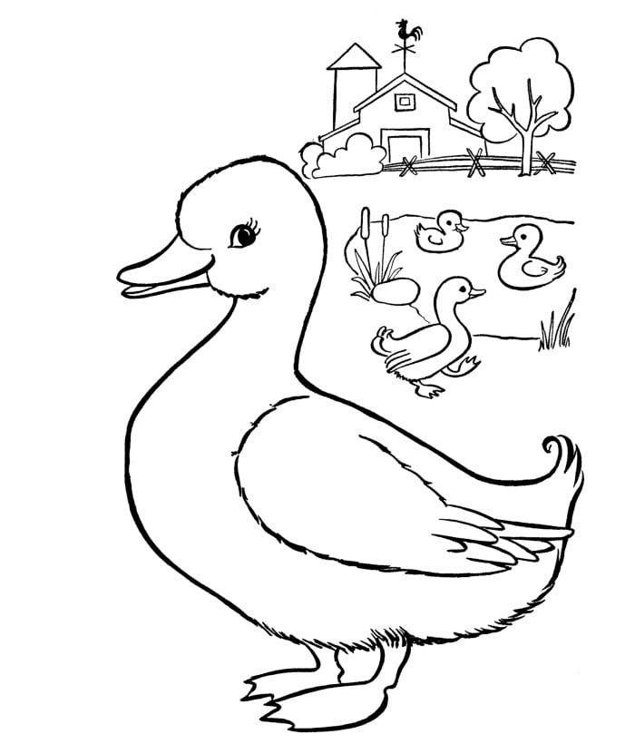 duck template to print