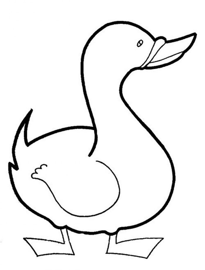 eassy duck coloring page