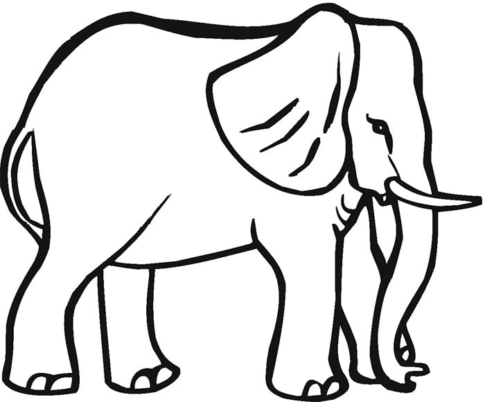 elephant-template