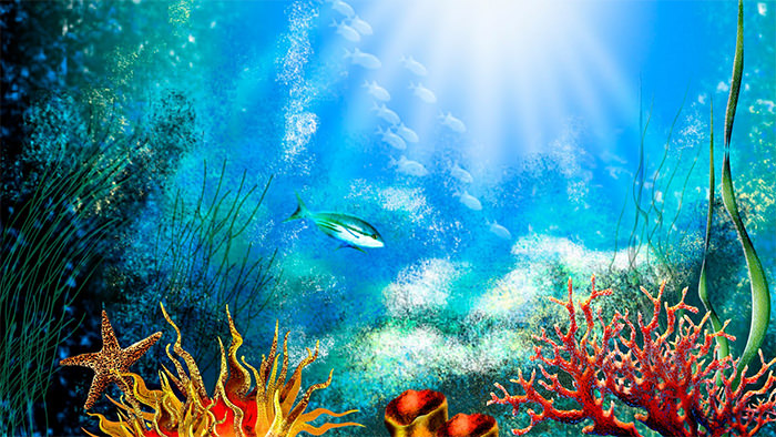 72+ Best Aquarium Backgrounds