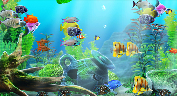 50+ Best Aquarium Backgrounds | Free &amp; Premium Templates
