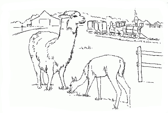 farm animal template
