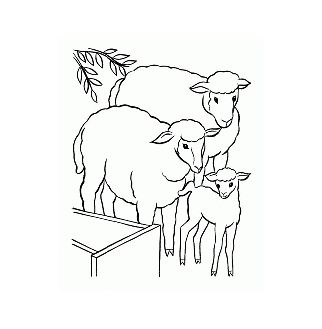 Farm Animal Template - Animal Templates | Free & Premium Templates