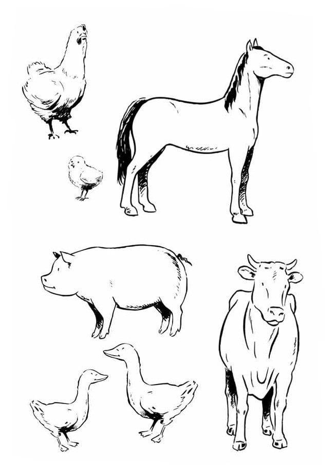 Free downloadable templates of farm animals thinkingkop