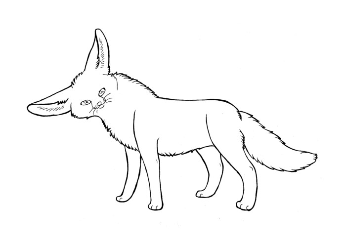 fennec african fox template