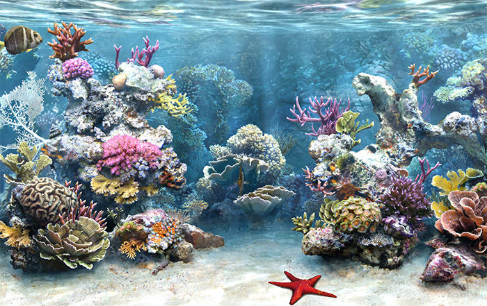 50+ Best Aquarium Backgrounds | Free & Premium Templates