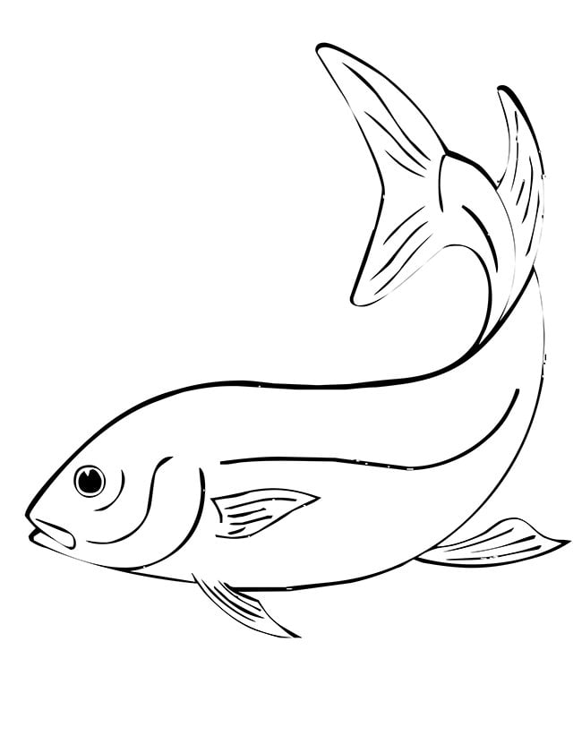 fish template