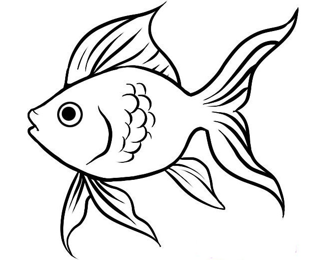 Fish Cartoon Drawing Fish Drawings Fish Sketch   Fish Template 19 