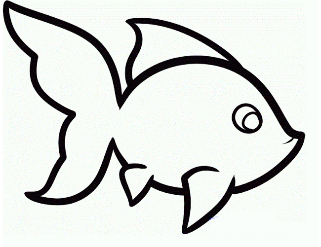 39 Fish Templates Free Premium Templates