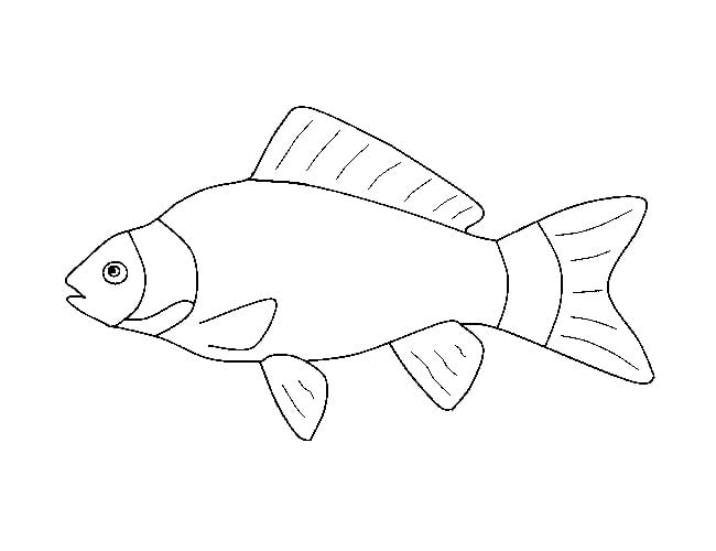 fish template 8