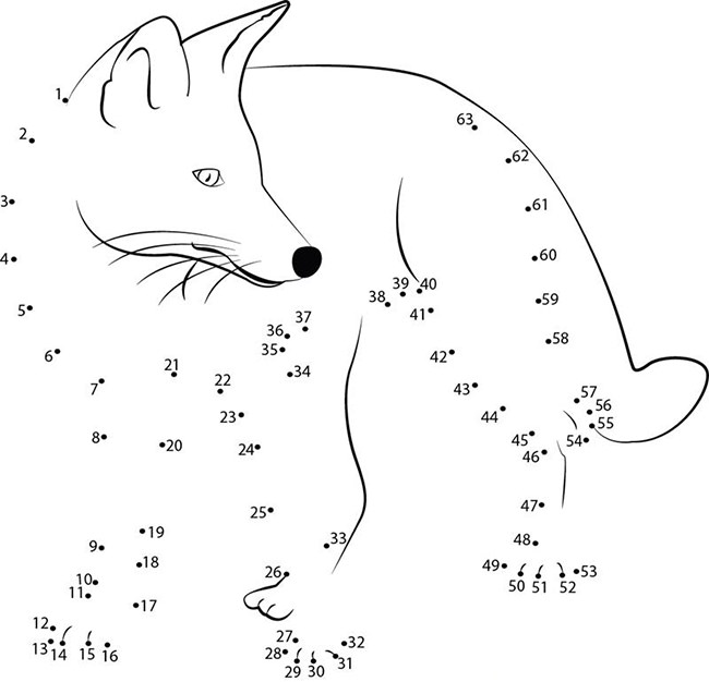 Fox Template - Animal Templates
