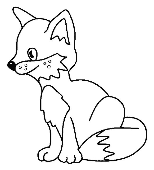 fox-template-16