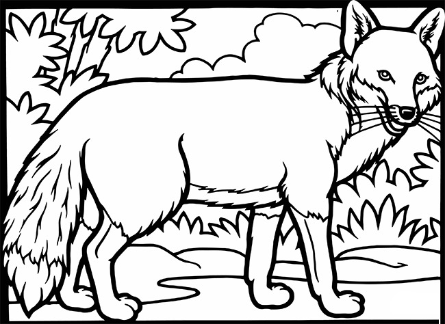 Fox Template - Animal Templates