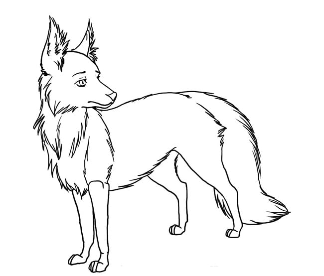 fox template