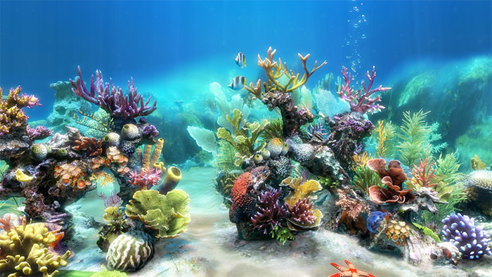 50 Best Aquarium Backgrounds Free Premium Templates