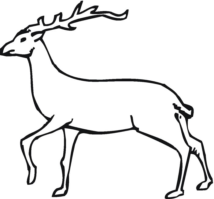 free deer coloring page