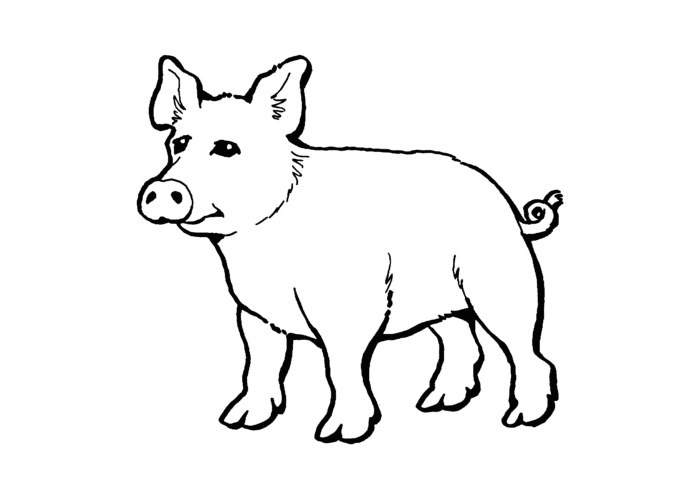 40+ Pig Shape Templates, Crafts And Colouring Pages 