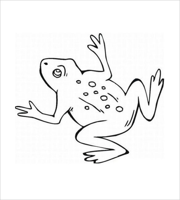 Frog Template Animal Templates