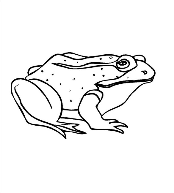 Frog Template for Kids