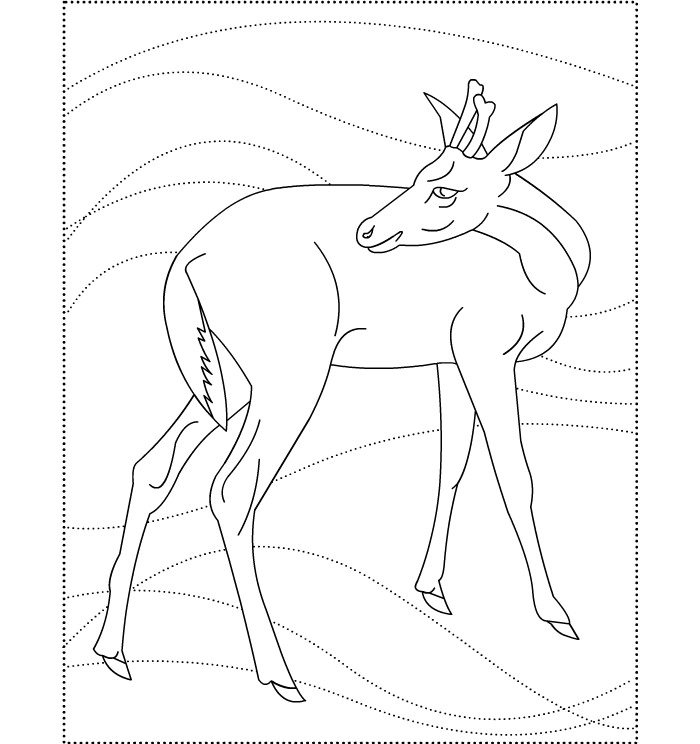 funny deer template