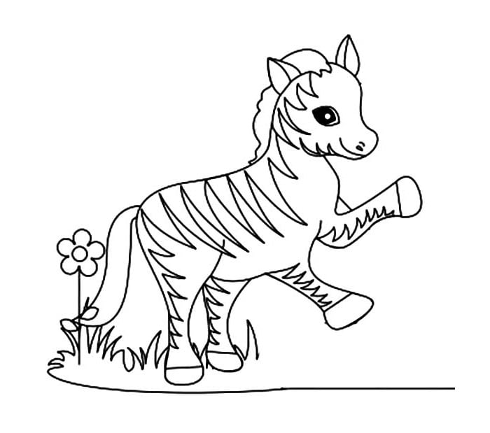 funny little zebra coloring page