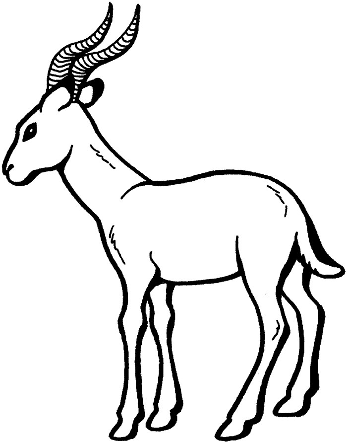 gazelle-template