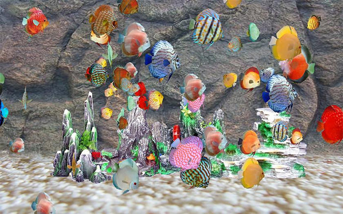 50+ Best Aquarium Backgrounds | Free &amp; Premium Templates