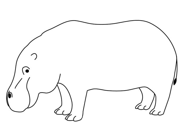 hippo-coloring-page