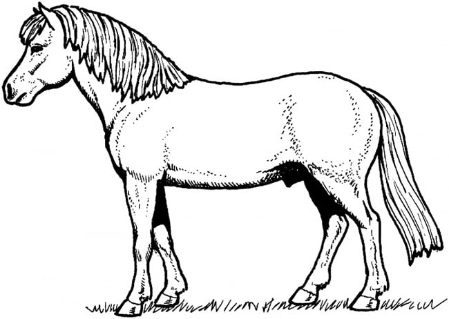 horse template 15