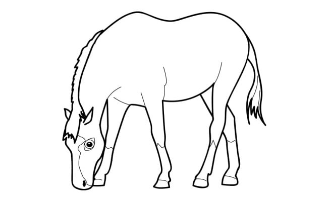 horse template 17