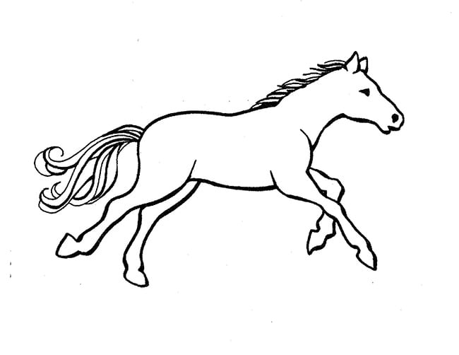 horse template 2