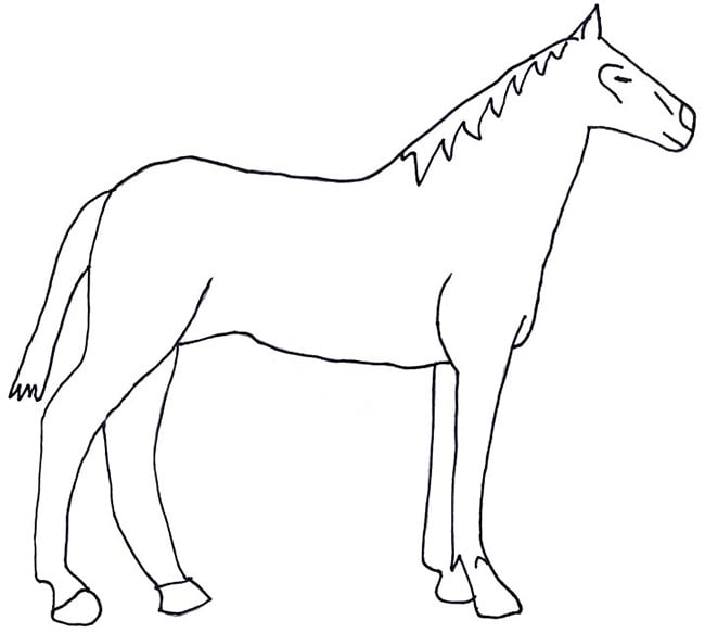horse template 29