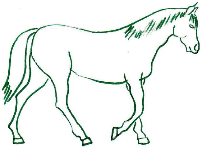 horse template 33
