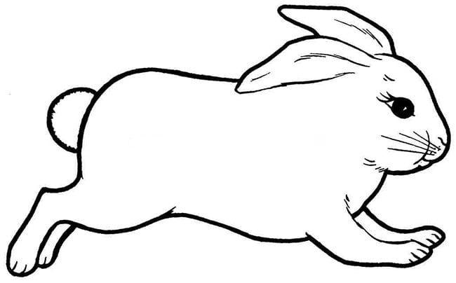 jumping rabbit coloring page
