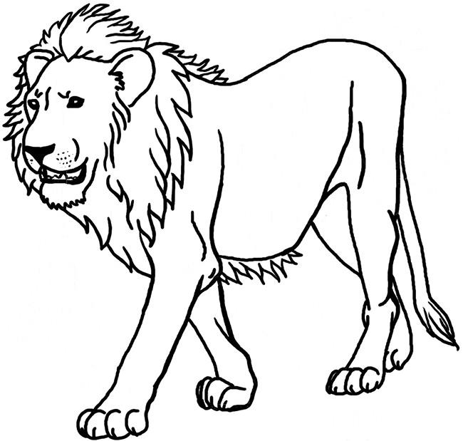 Lion Template - Animal Templates