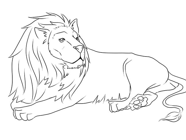 lion template 40