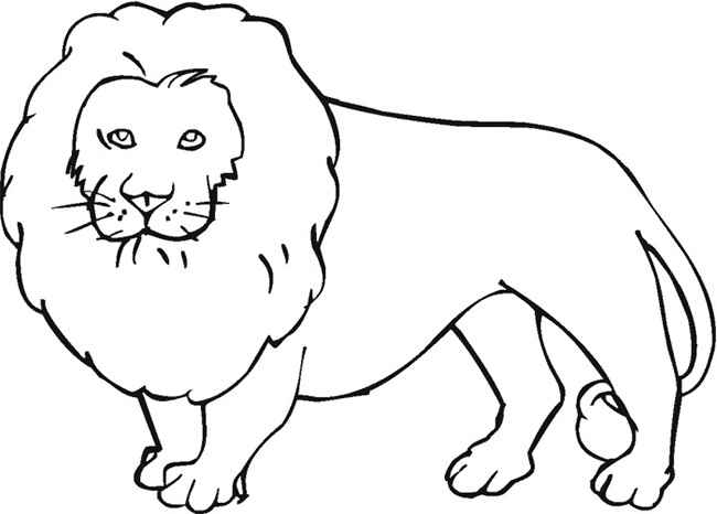 Lion Template - Animal Templates  Free & Premium Templates