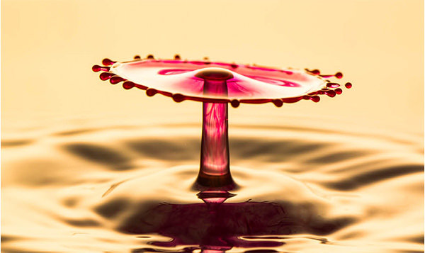mind blowing water drop photography
