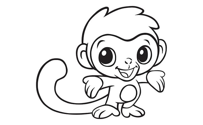 monkey-template-13