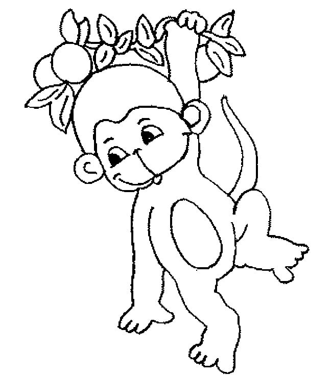 monkey-template-15