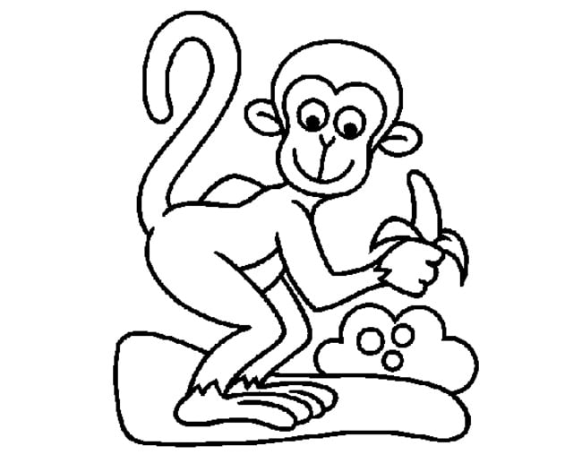 monkey-template-17