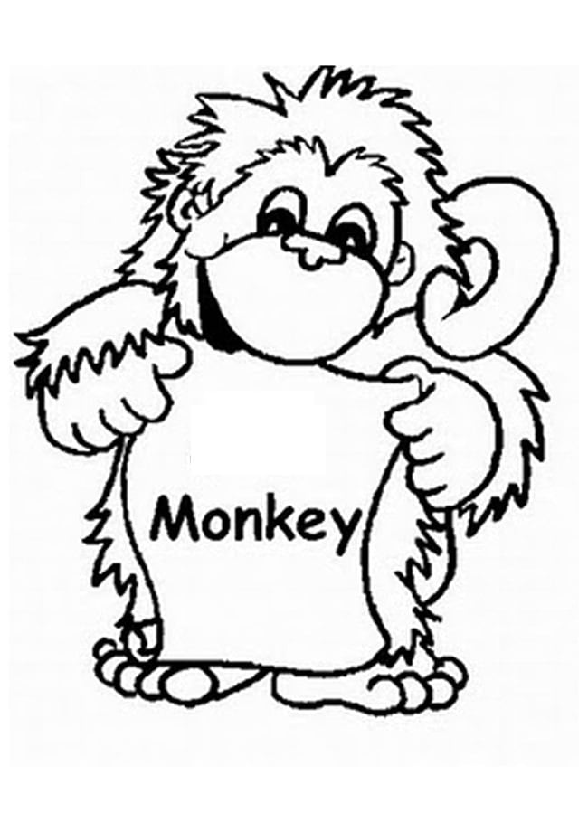 monkey-template-22