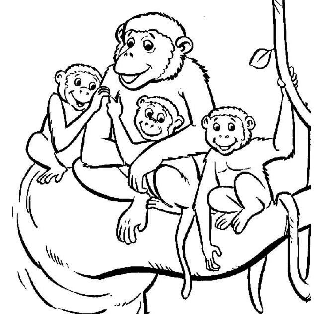 monkey template