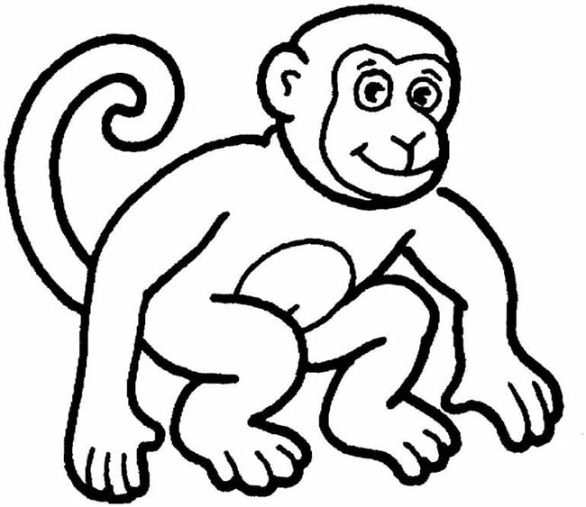 monkey-template-4