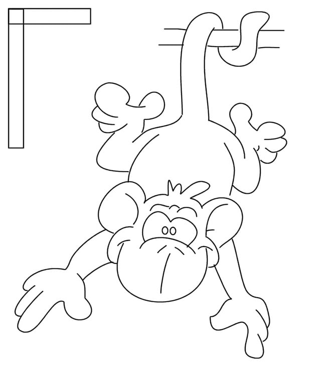 monkey-template-47