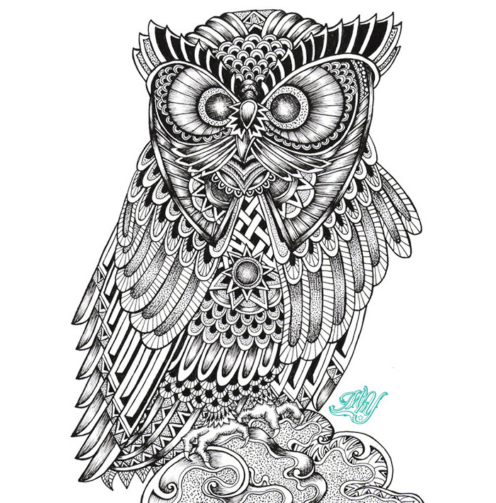 owl