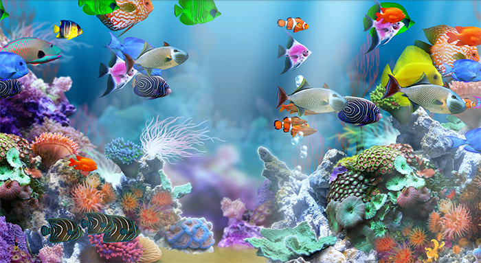 Victories Fish Tank Backdrop -PVC HD Printing Wallpaper,Blue Landscape of  Deep Sea Fish Pattern Aquarium Poster Background Decor Paper Cling Decals  Sticker : : Pet Supplies