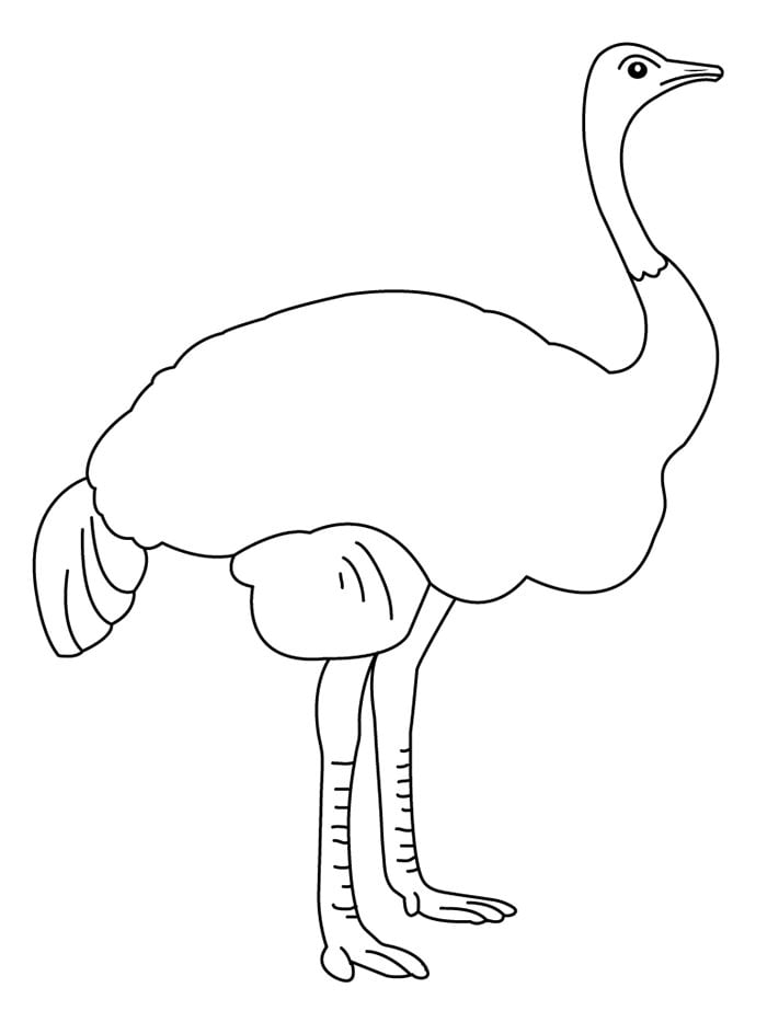ostrich-coloring-page
