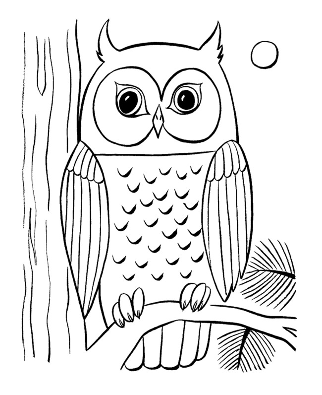 Owl Template Animal Templates Free Premium Templates